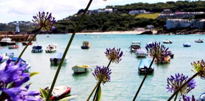 Flowers by the Harbour