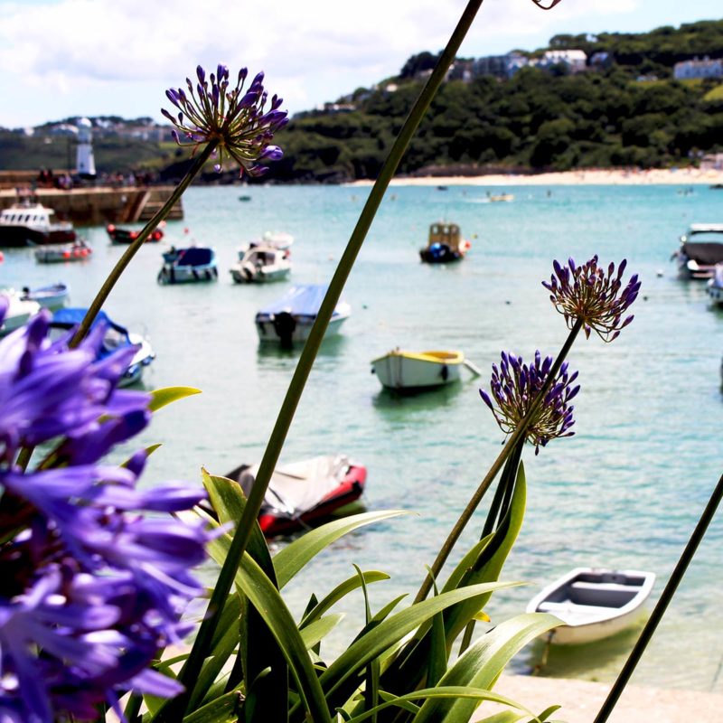 St Ives Accommodation - luxury five star apartments by the sea.