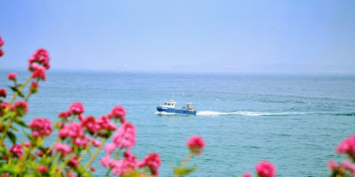 Luxury apartments in Cornwall. Book a self catering stay in St Ives today.