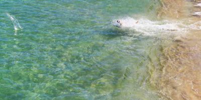 St Ives Dog Friendly Accommodation