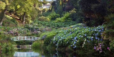Striding out dog friendly accommodation in St Ives