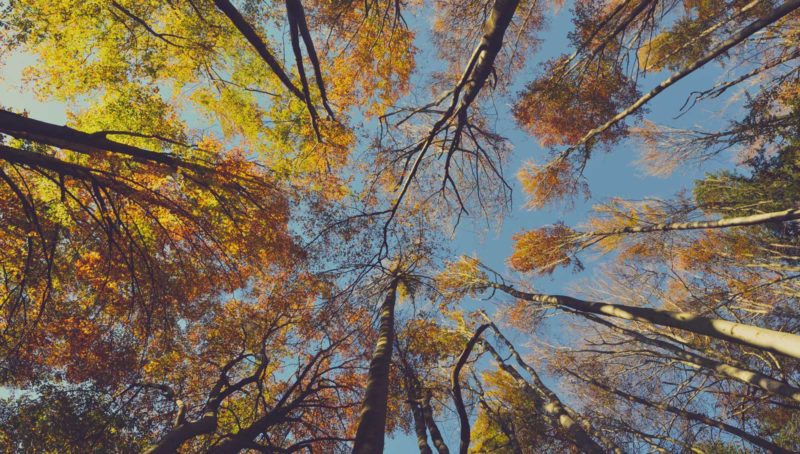 Luxury self catering apartments in Cornwall in Autumn
