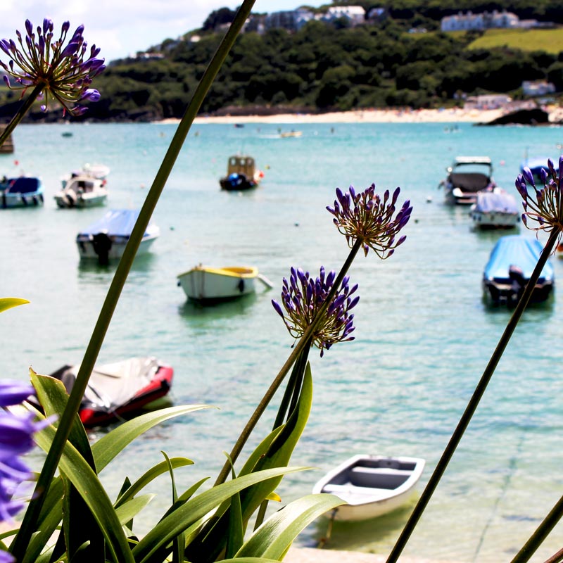 luxury group accommodation st ives harbour