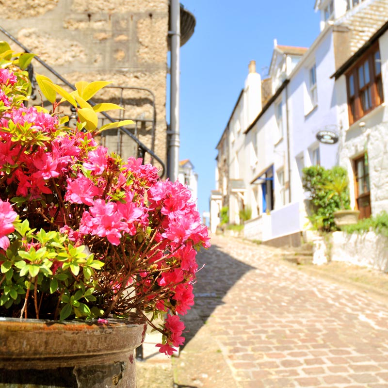 luxury group accommodation st ives