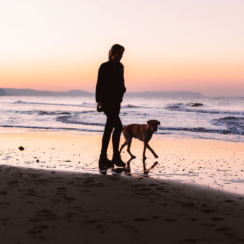 Dog friendly accommodation in Cornwall