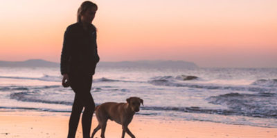 Luxury Dog Friendly Accommodation Beach