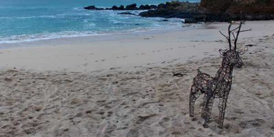 Sail Lofts Christmas Porthmeor Beach St Ives