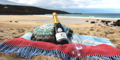 concierge in st ives
