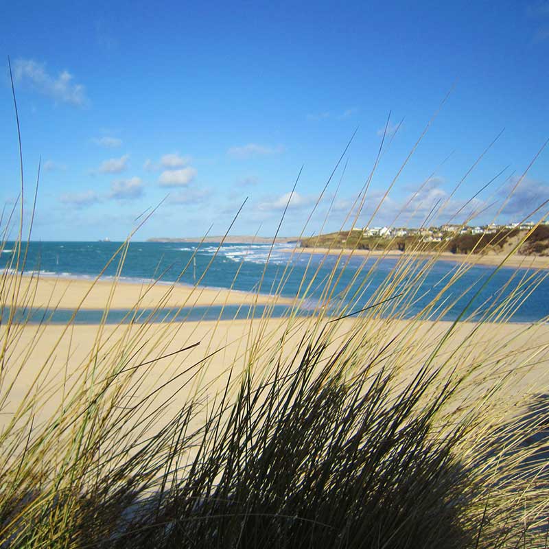Hayle Estuary Dog Friendly Coastal Walks