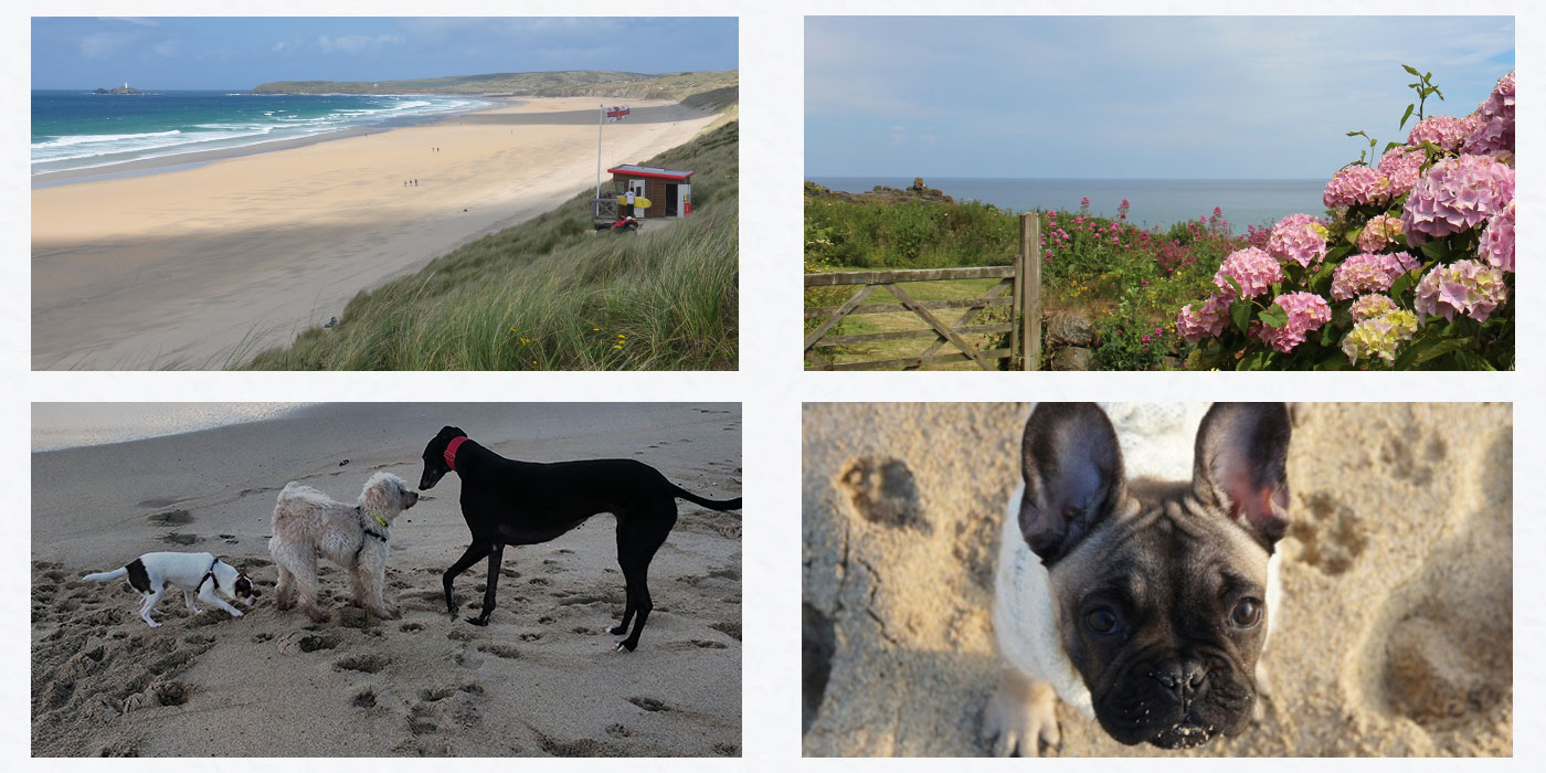 Dog Friendly in St Ives, Cornwall