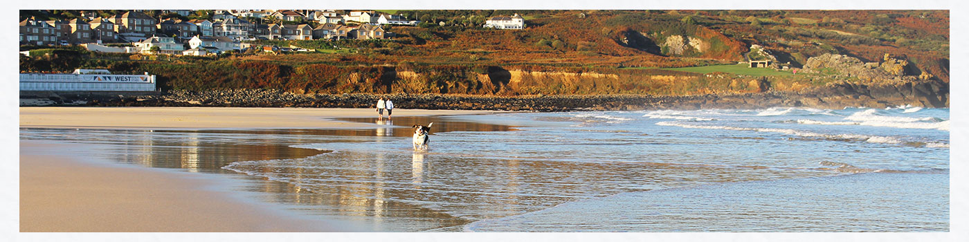 Dogs on St Ives Beach