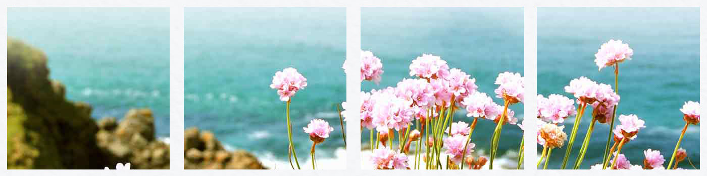 holiday cottages in Cornwall