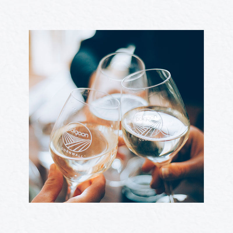 polgoon cornwall wine