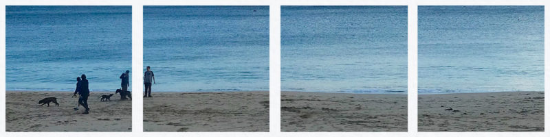 award-winning-dog-friendly-properties-st-ives