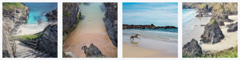 dog friendly beaches cornwall