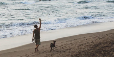 Where to take my dog in St Ives Cornwall
