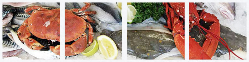 wetfish counter at the beach restaurant and takeaway