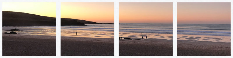 dog friendly winter walks