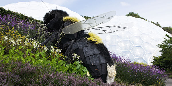 Eden Project in Cornwall