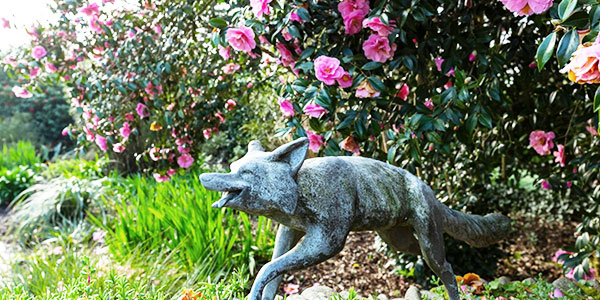 Glendurgan Garden in Cornwall