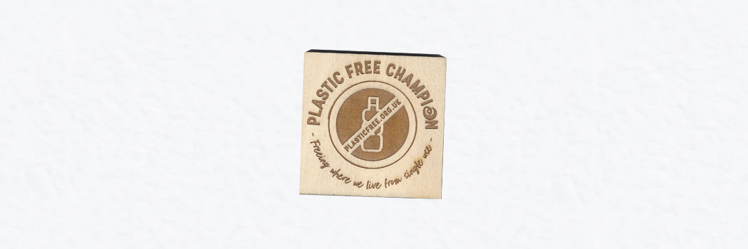 Plastic Free Champion St Ives