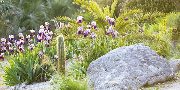 Tremenheere gardens in Cornwall