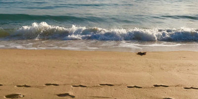 St Ives in the summer