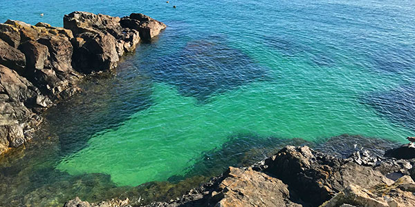st ives bay