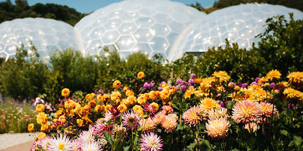 flowers and biomes at the Eden Project