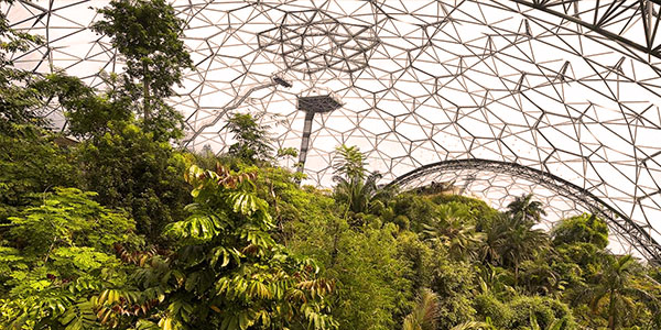 Biome at Eden Project