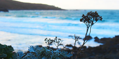 Winter in st ives 2