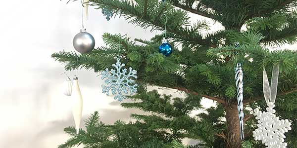 christmas tree in curno