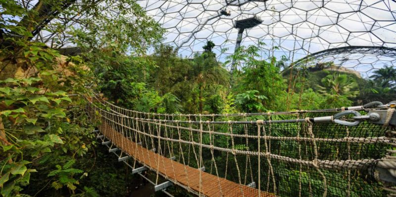 eden project wobbly bridge