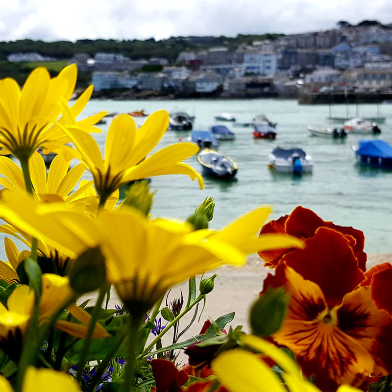 spring in st ives