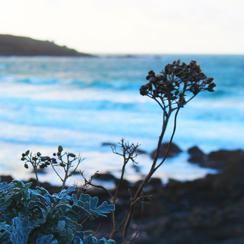 winter in St Ives