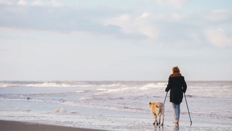 dog restrictions on beaches in st ives