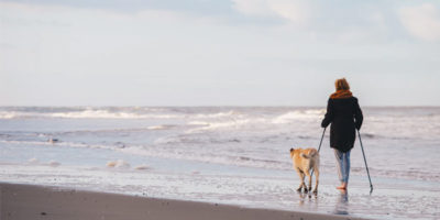 dog restrictions on beaches in st ives