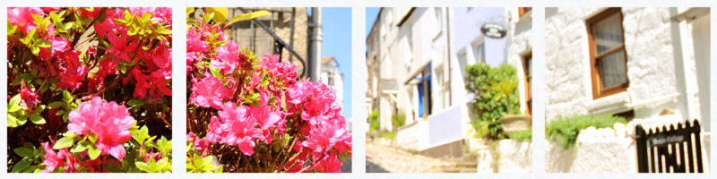 st ives luxury apartments